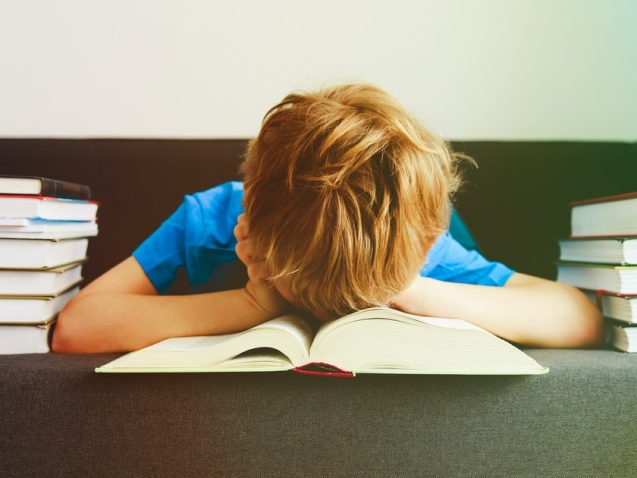 3950836d-d529-474a-9f41-1db99287c0c5-fotolia_188499809_subscription_monthly_m