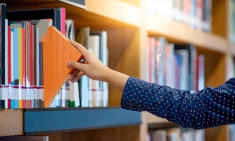 multimedia.normal.9092abc94d646b22.NWQwYmY5ODIwNzQyMl9ub3JtYWwud2VicA==